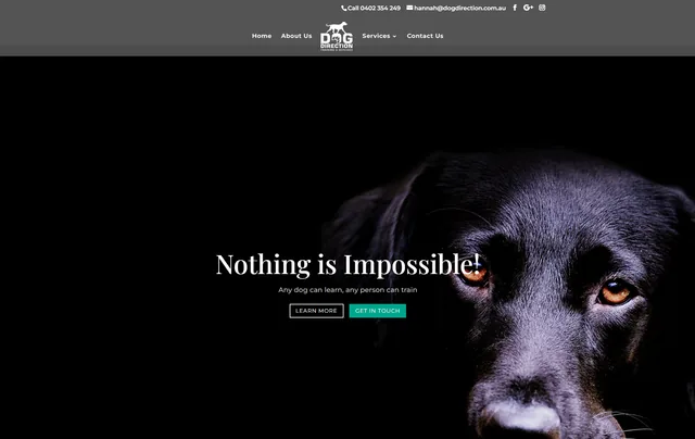 Screenshot of the Dog Direction training and services homepage, supplied by WOTS
